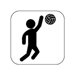 icon_volleyball
